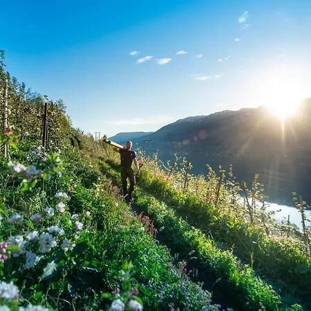 Hardanger *
